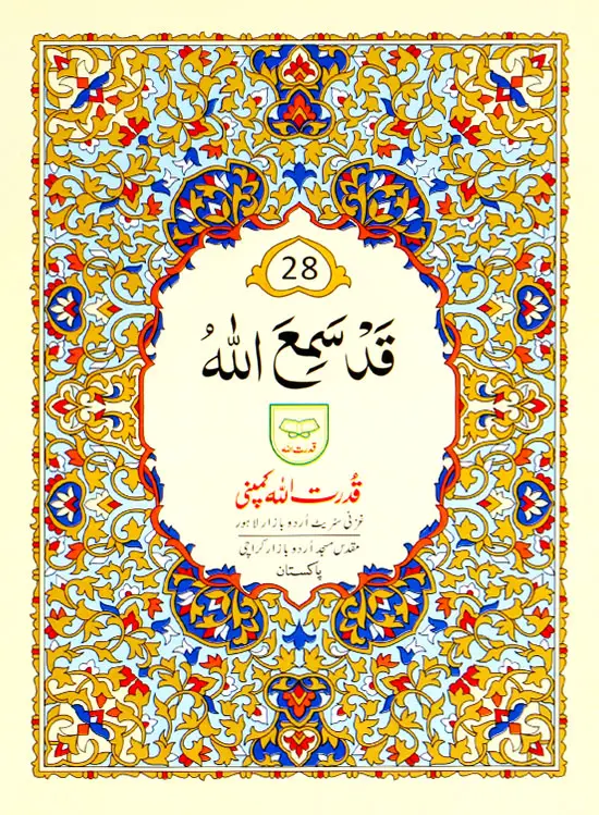 Para no 28
