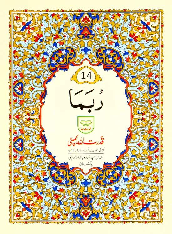 Para no 14
