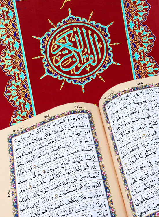 Holy Quran without Translation | قرآن کریم