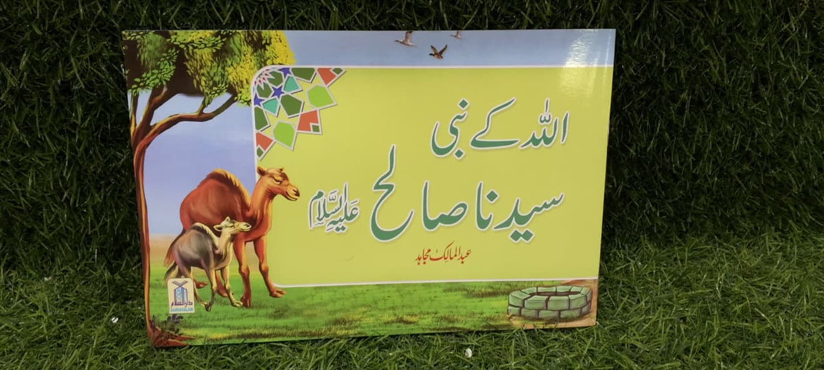 Qisa Hazrat Saleh (Local)