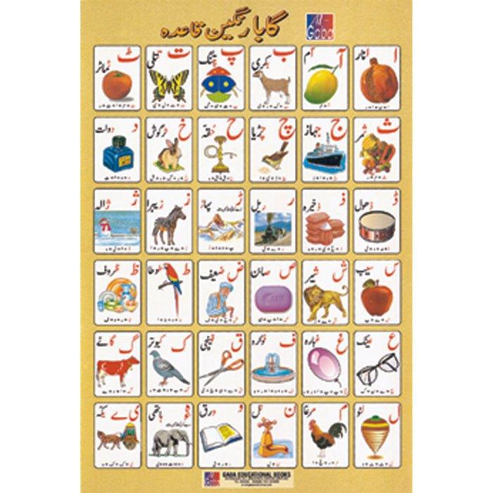 Chart No 2 (گابا رنگین قاعدو)