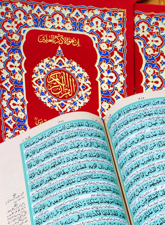 Holy Quran with Translation | قرآن کریم مع ترجمہ