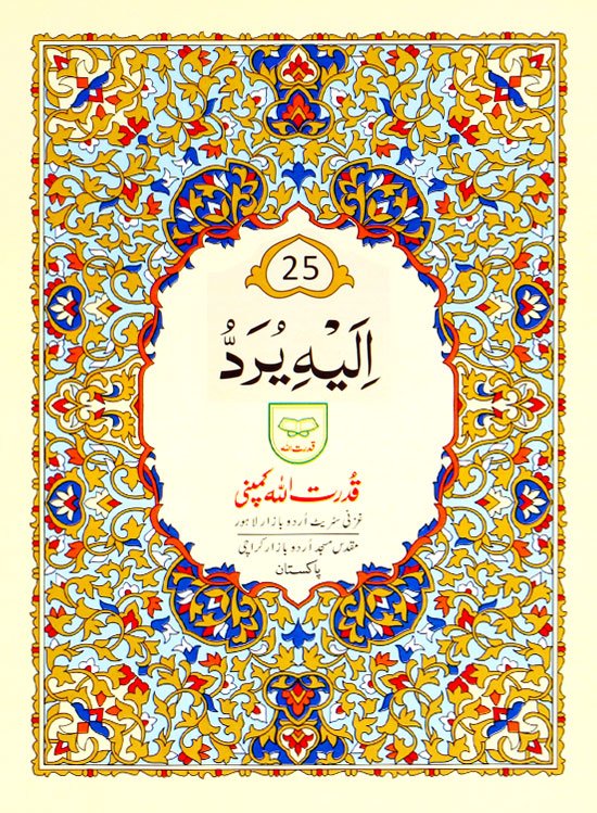 Para no 25
