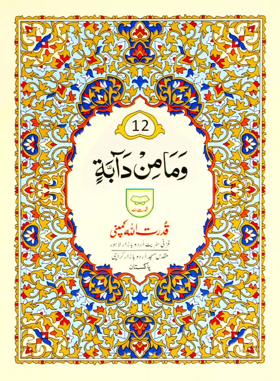 Para no 12