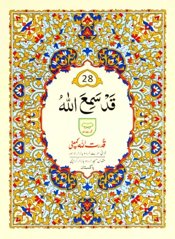 Para no 28