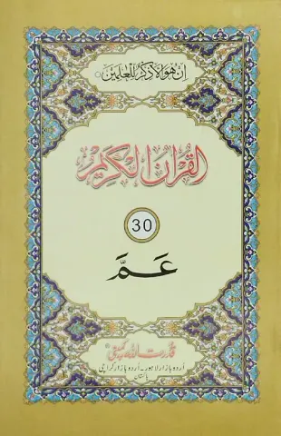 Para No. 30