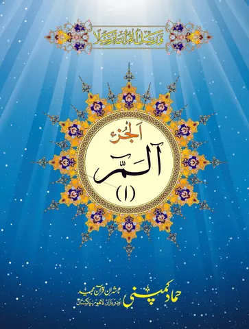 Para Set of Holy Quran, 12 Line (Hammad H-188-P)