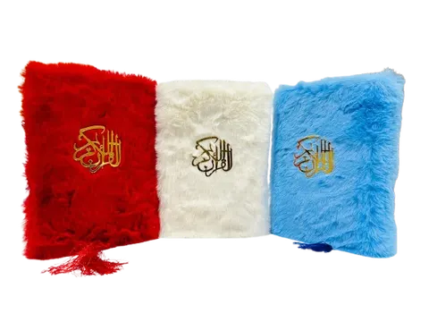 Holy Quran Tajweedi, 13 Line (Hammad H-22-DF)