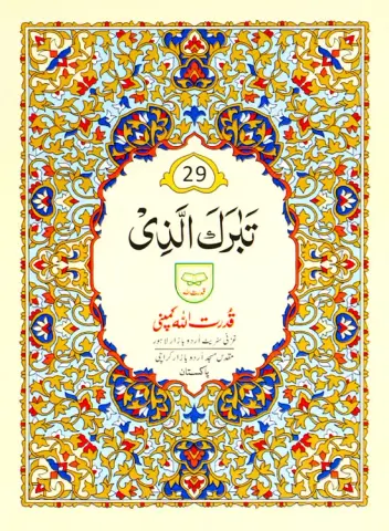 Para no 29