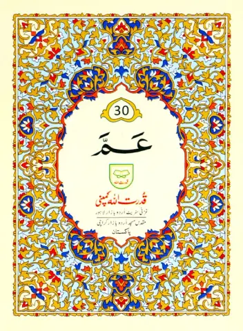 Para no 30