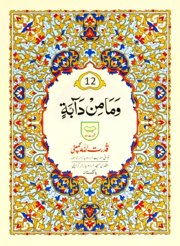 Para no 12